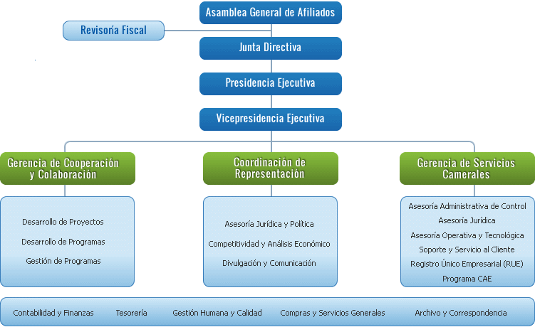 Organigrama